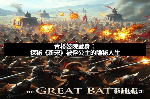 青楼妓院藏身：探秘《新宋》被俘公主的隐秘人生